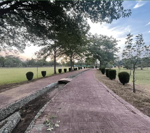 Tree-lined walkway inside Race Course Park Rawalpindi
